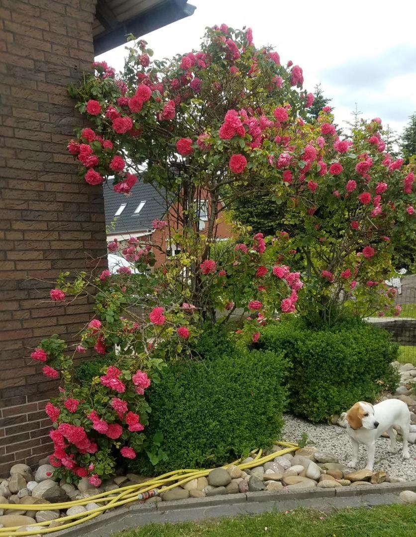 Ferienwohnung Aurich Ostfriesland ภายนอก รูปภาพ